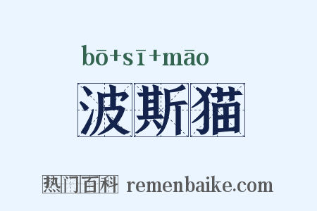 波斯猫是什么意思的图片